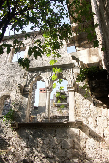 Obraz 284
